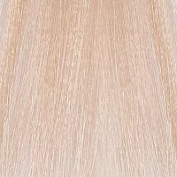 10/93 краска для волос / Illumina Color 60 мл