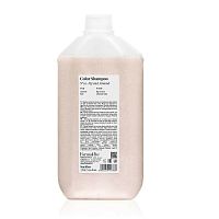 Шампунь для защиты цвета и блеска волос FarmaVita BackBar Color, 5000 мл