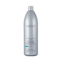 Шампунь для волос против перхоти FarmaVita Amethyste Purify Dandruff Control Shampoo 1000 мл